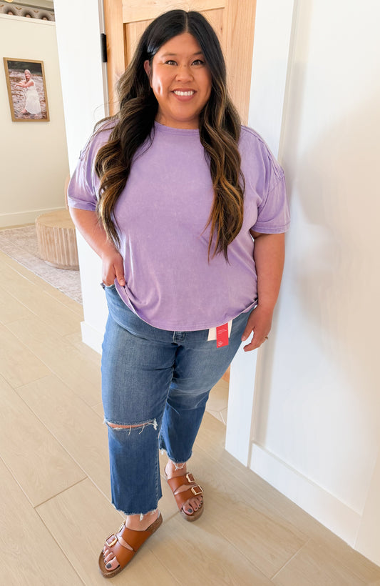 Lovervet Plus Tummy Control High Rise Crop Straight Jeans