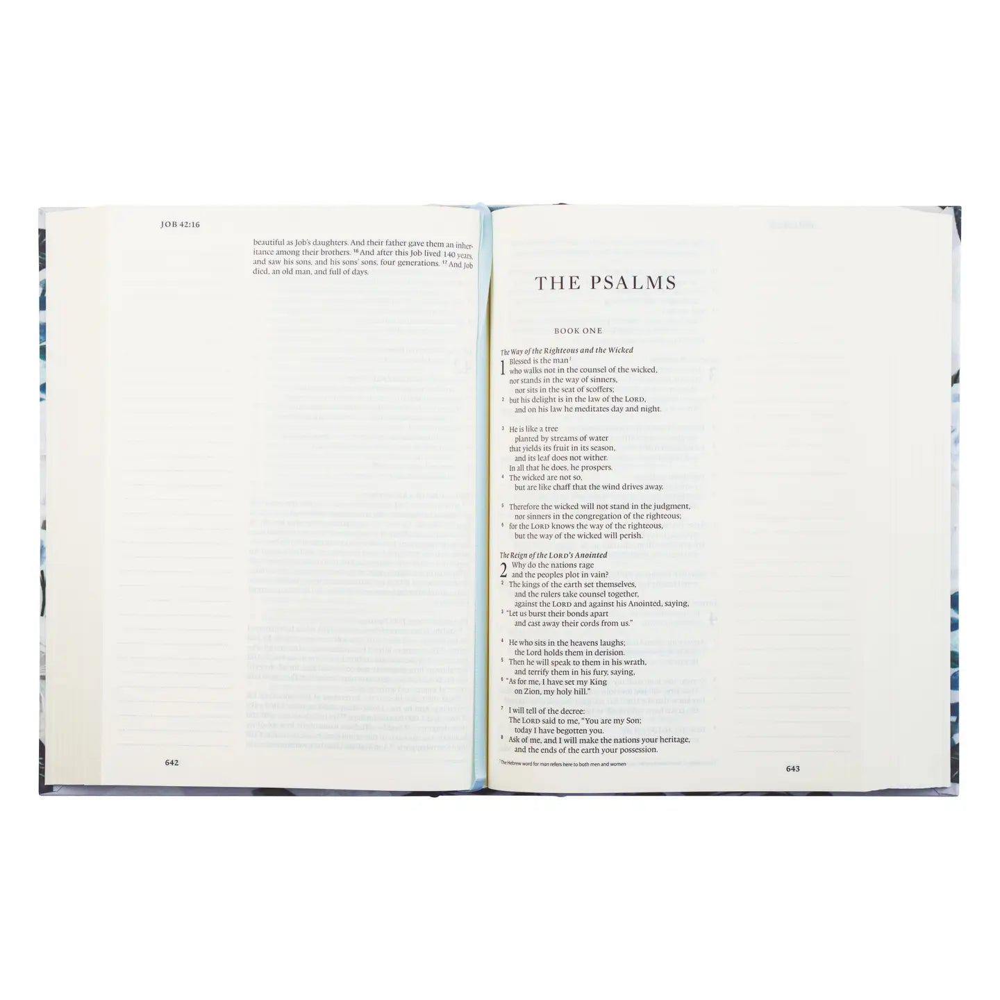 Esv Large Print Journaling Bible, Victoria Theme