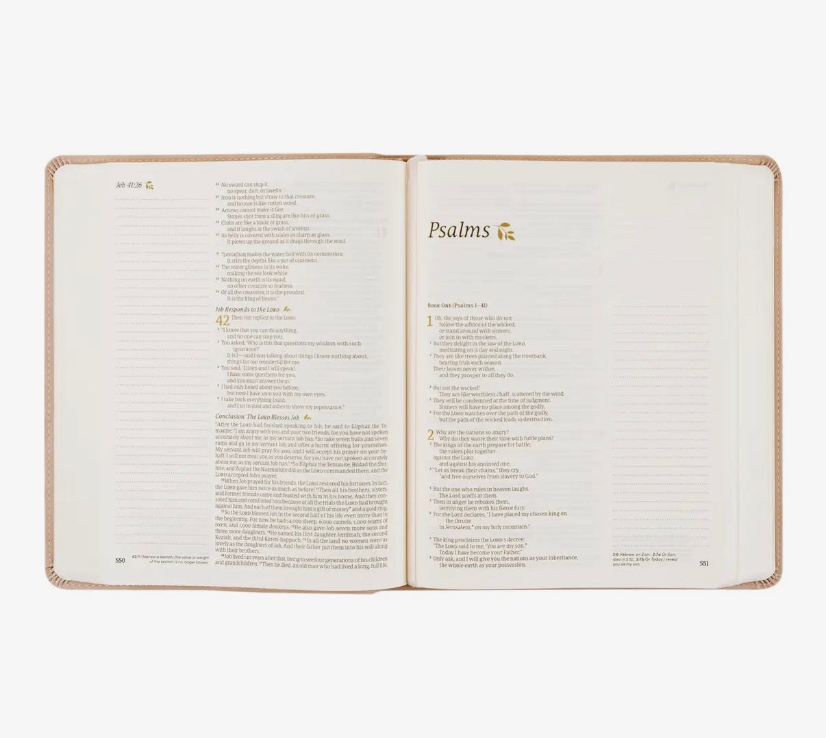NLT Notetaking Bible