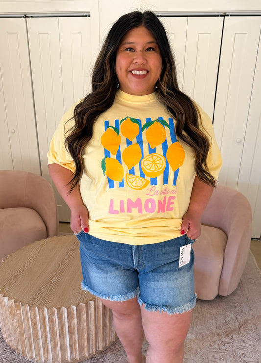 Zenana Plus Mid Rise Raw Frayed Hem Denim Shorts, Medium