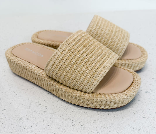 Sandy Shores Slides