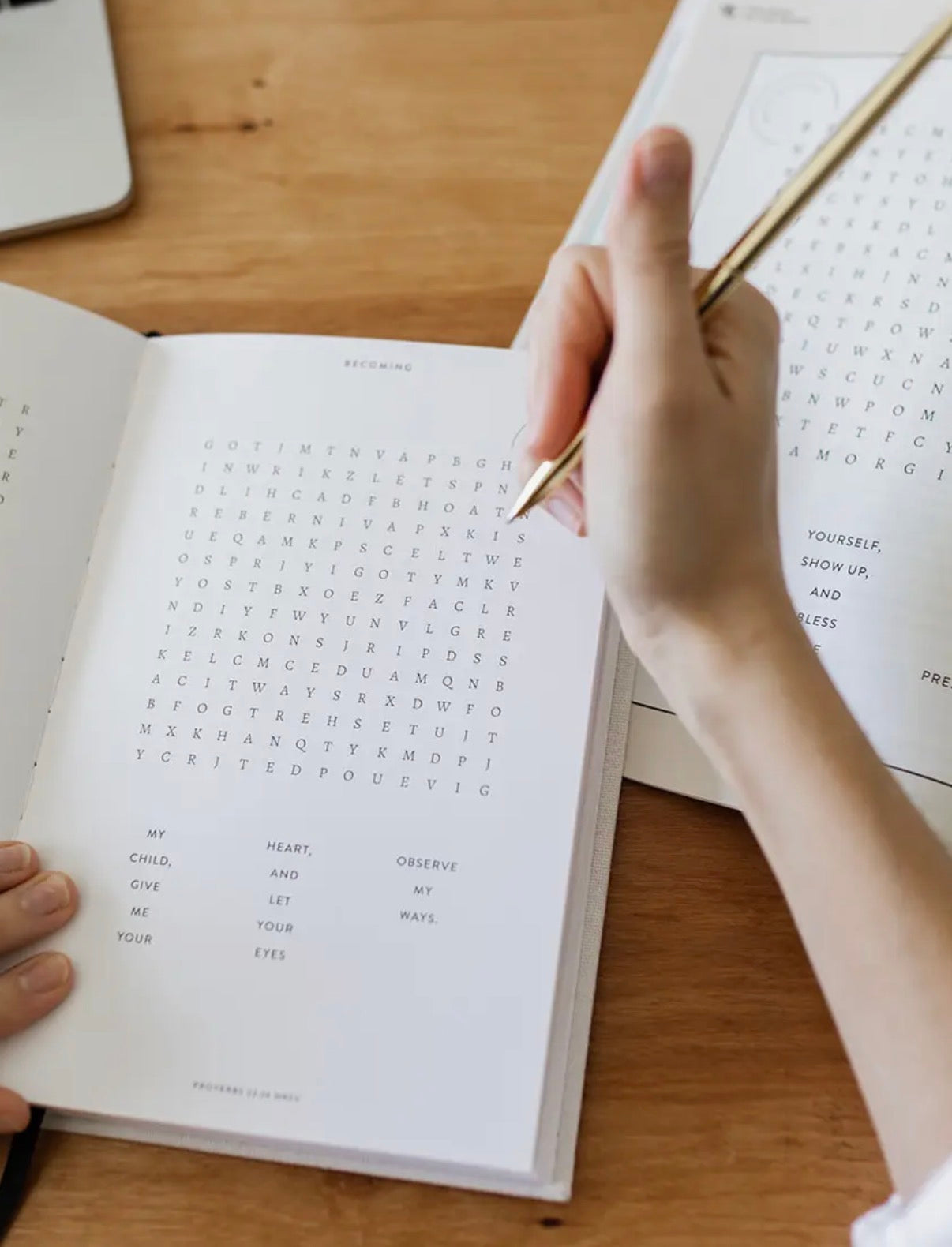 The Wordsearch Book, Multiple