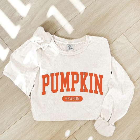 Pumpkin Season Puff Mineral Washed Long Sleeve Graphic