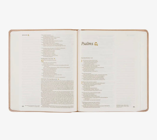 NLT Notetaking Bible