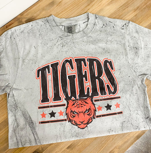 Tigers Game Day Color Blast Graphic