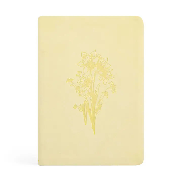 Notebook: Belfast Theme