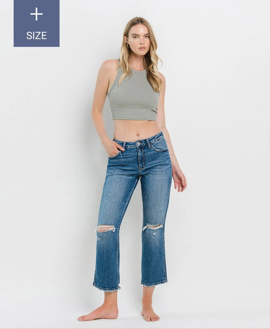 Plus Size, Vervet High Rise Straight Jeans