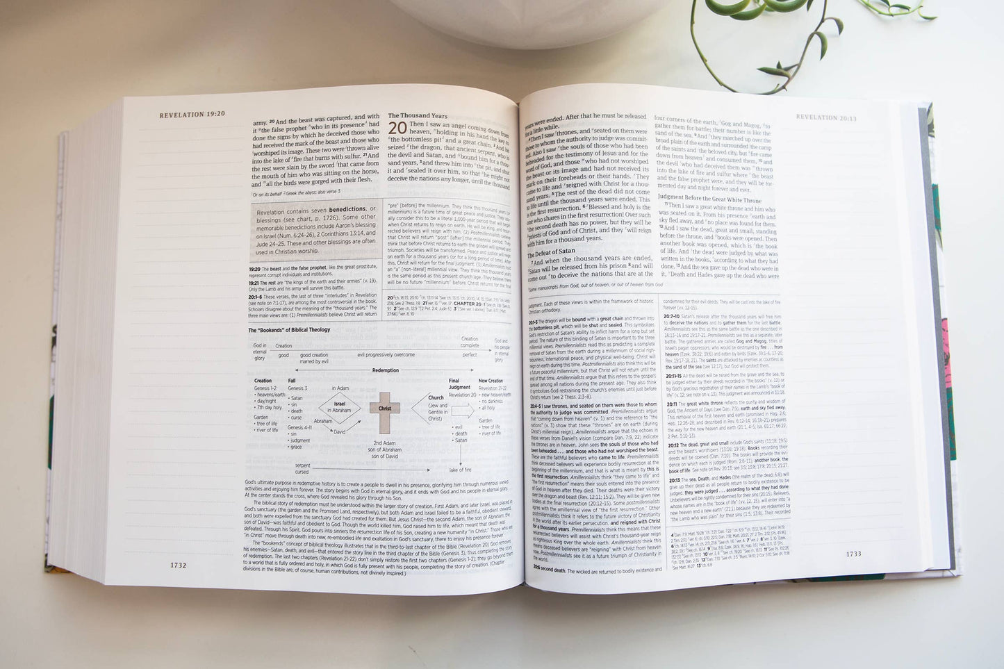 ESV Journaling STUDY Bible - Church Floral - Cloth overboard