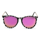 Dax Eyewear